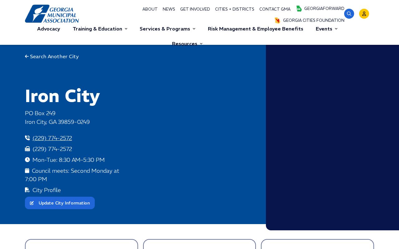 Official Iron City Georgia municipal profile for local booking research